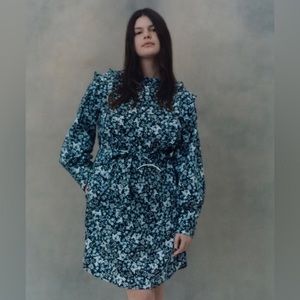 Erdem X Universal Standard Primrose Ruffle Shirt Dress
